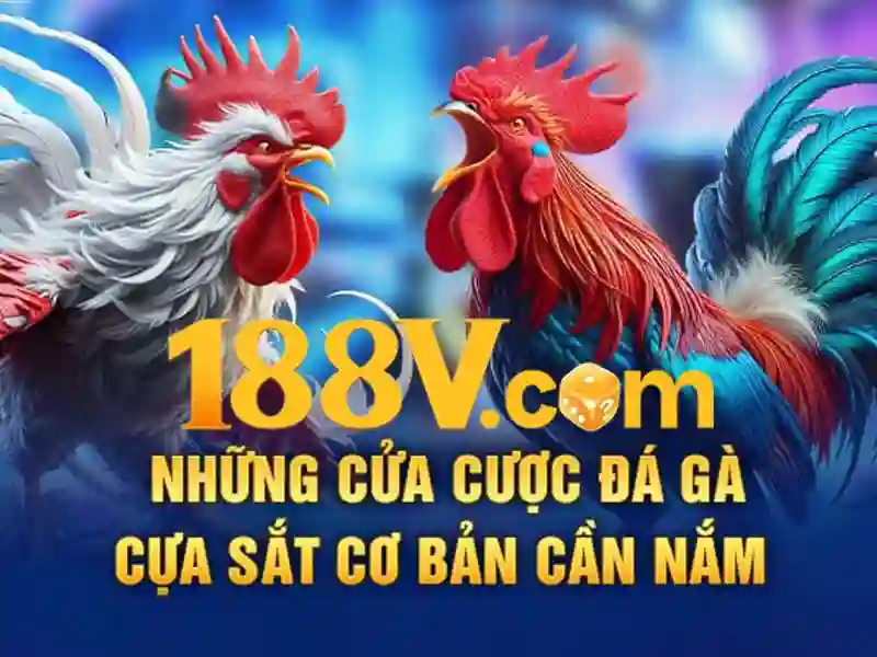 cá cược thể thao 188v – Giới thiệu và định vị thương hiệu