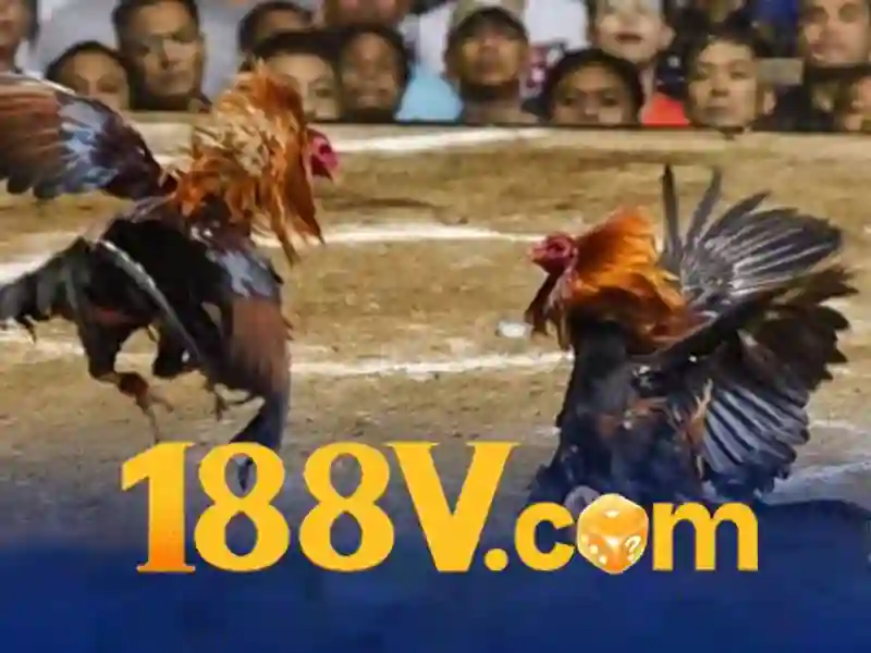 đăng ký 188v – Sản phẩm và dịch vụ cốt lõi