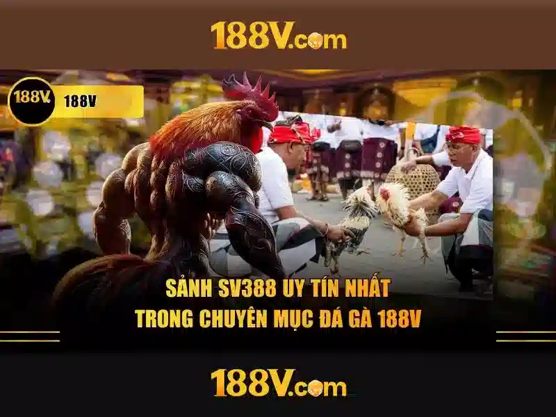 Rủi ro và cách phòng ngừa khi làm việc với 188v