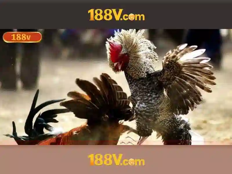 Loi the canh tranh 188v