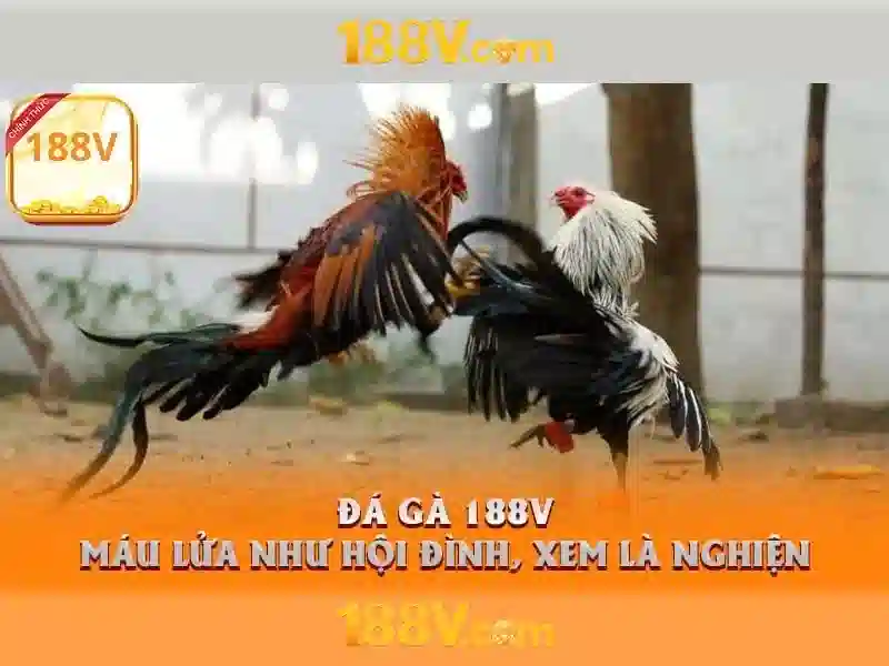 Khám phá 188v: một khái niệm về năng lượng và thời gian