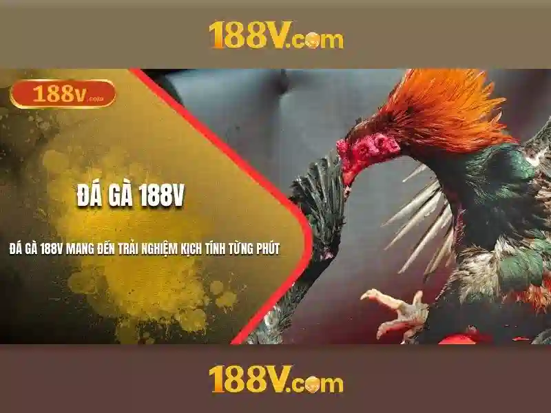 188v 188vv.com.vn – Ưu thế và sức cạnh tranh