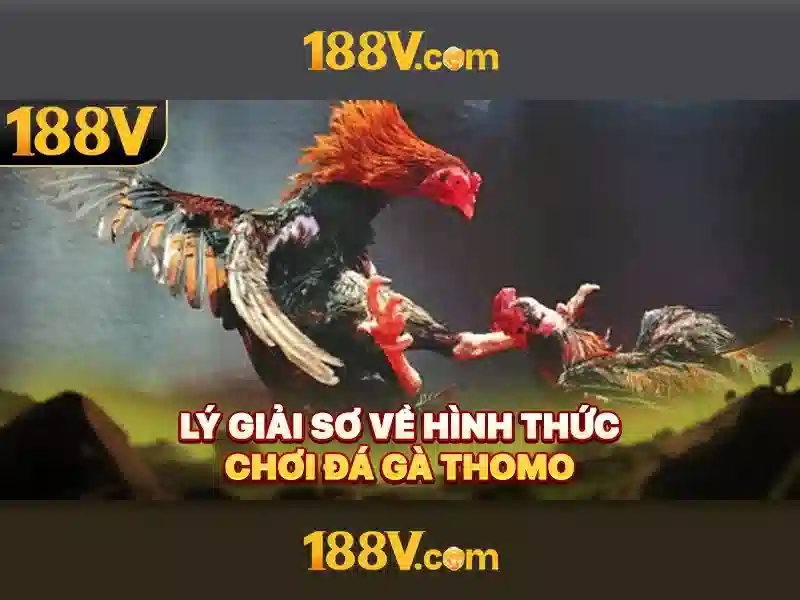 Nguồn gốc và cấu trúc của 188v