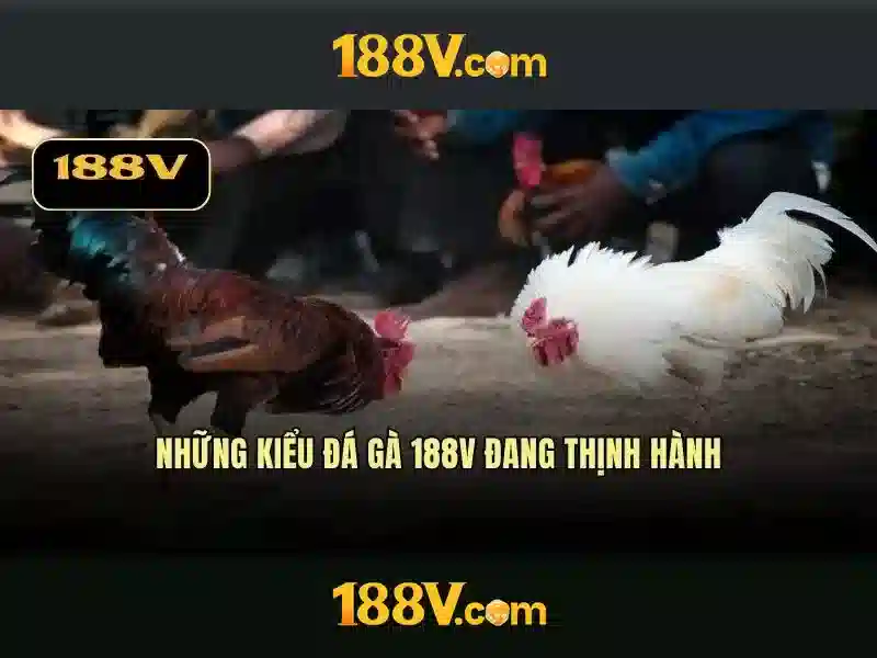 Hiệu suất và ứng dụng
