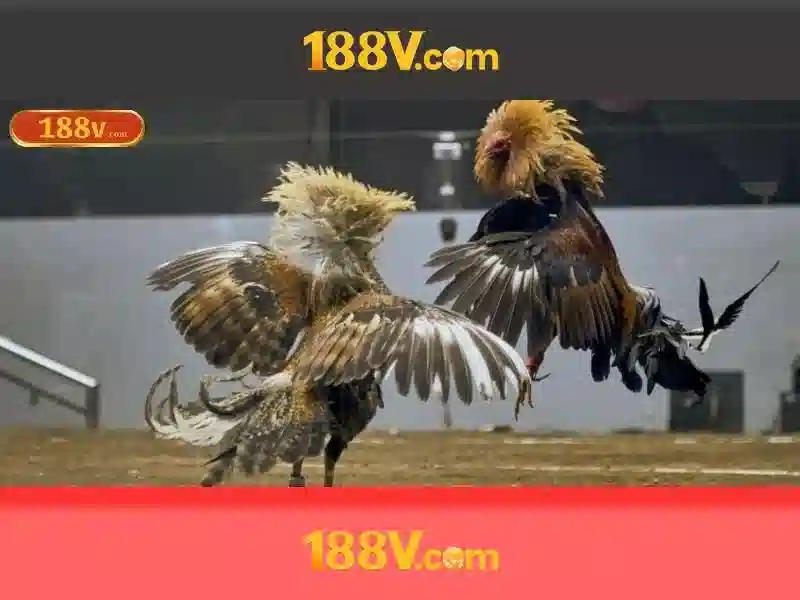 Khởi đầu mới cho làng chài