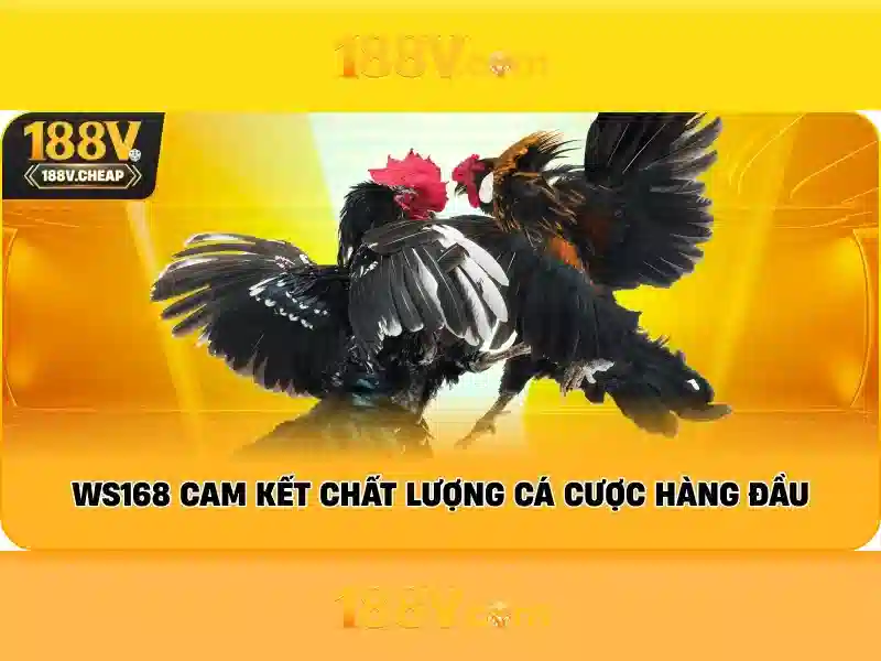 Nguồn gốc và ý nghĩa của tên gọi 188V