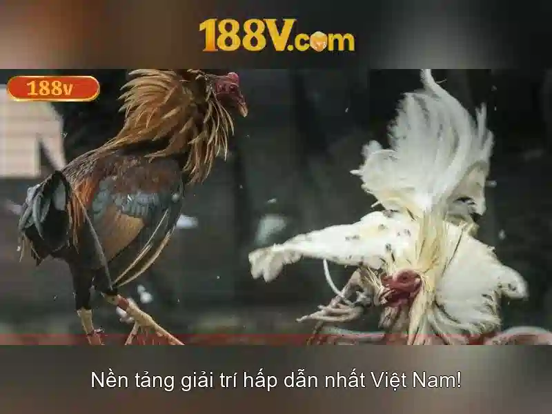 Tương lai và nguồn cảm hứng từ 188v
