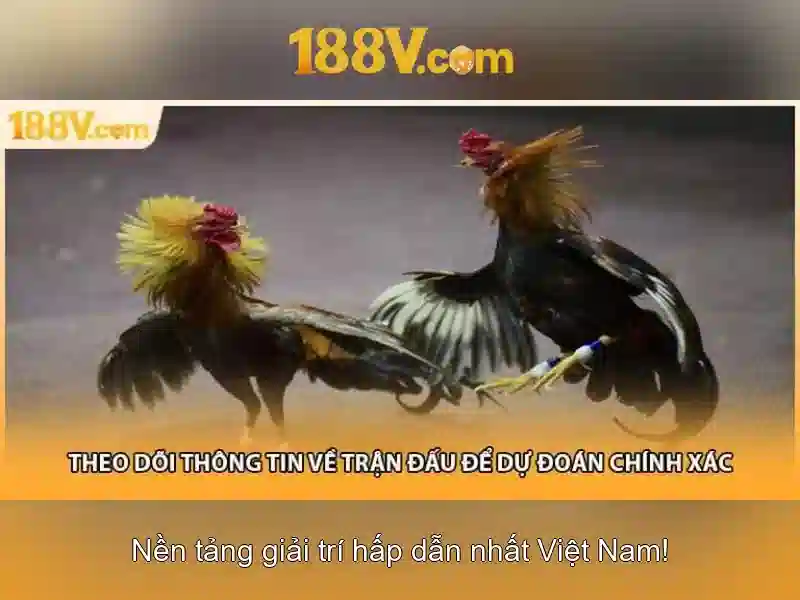 Kết luận về 188V