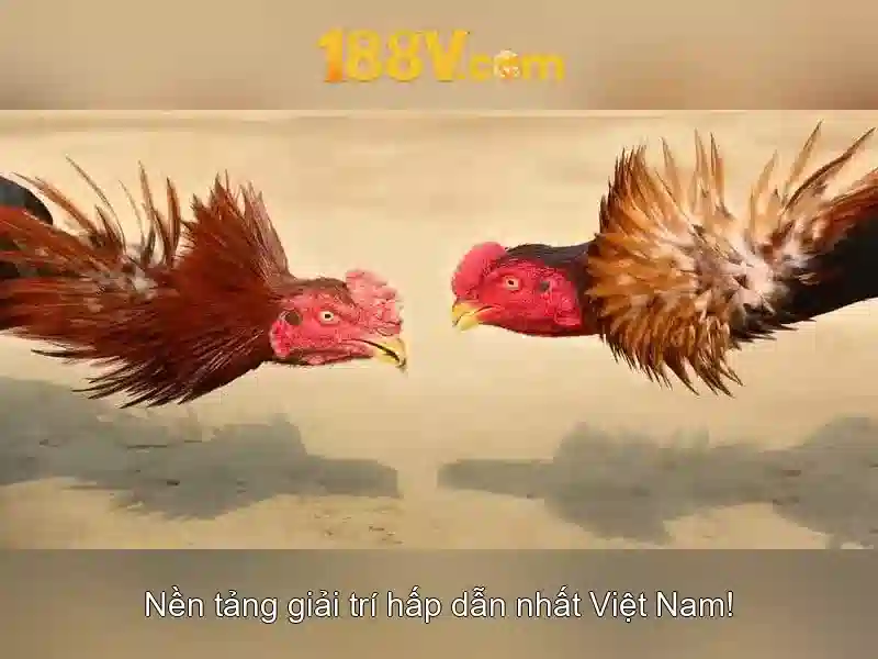 Gợi ý cho người sáng tạo