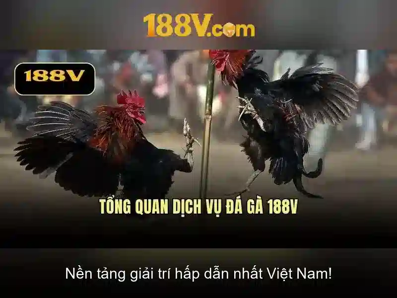 Những khả năng kể chuyện bằng 188v