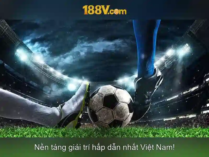 Trải nghiệm người dùng và phản hồi từ cộng đồng