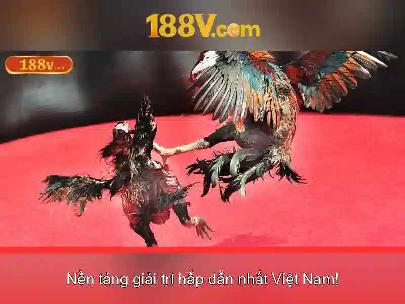 Kết luận về 188V