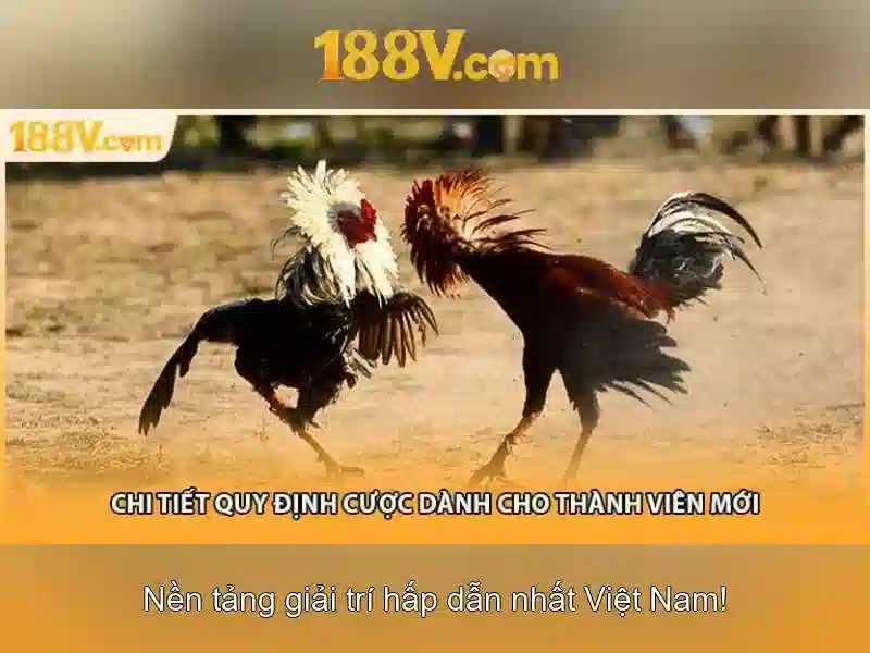 Ứng dụng thực tế