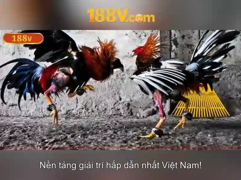 Đặc điểm kỹ thuật và giới hạn an toàn