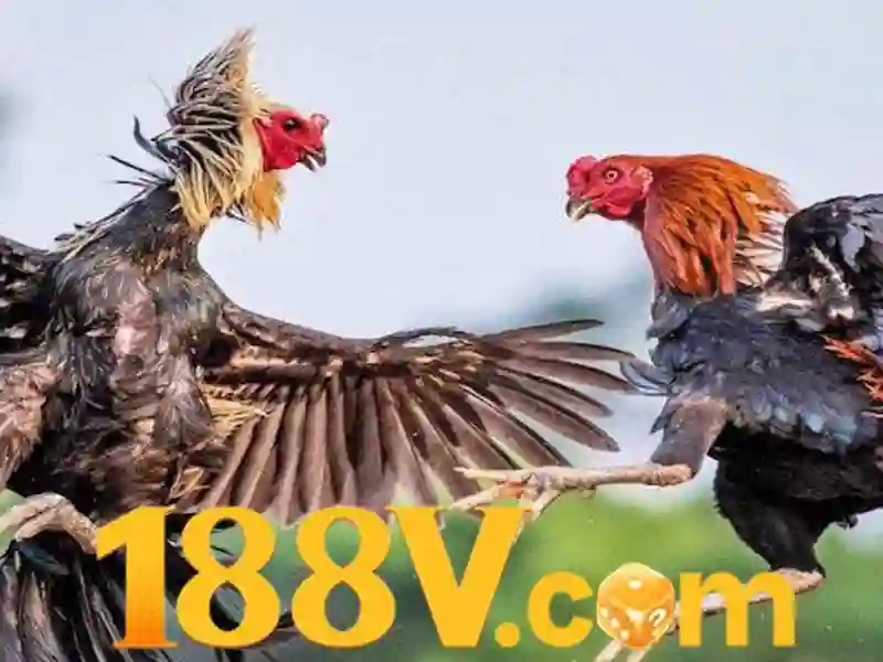 Giới thiệu 188v bet