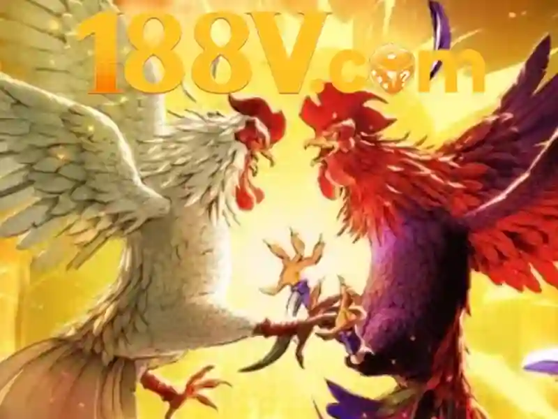 Trải nghiệm người dùng và phản hồi cộng đồng