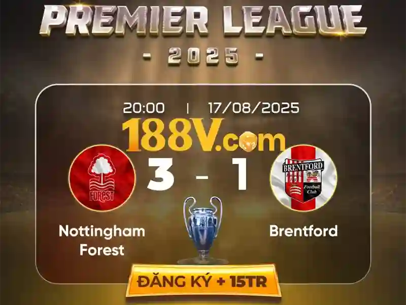 6. Phát triển và tầm nhìn tương lai